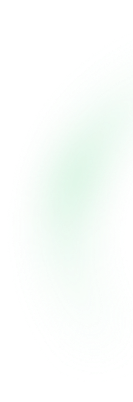 Ellipse Shape