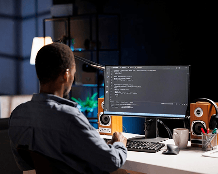 Dedicated Developer